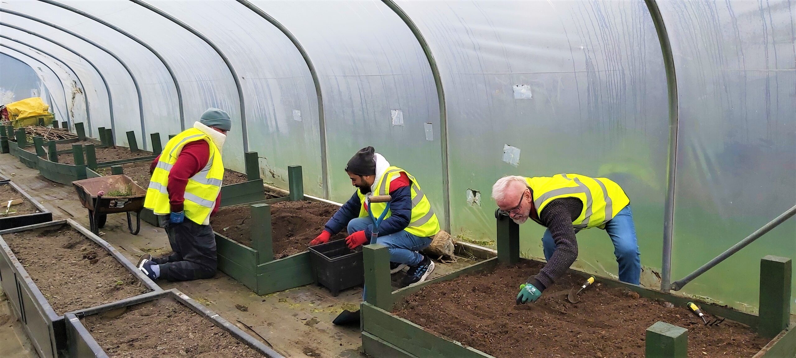 service users planting raised beds
