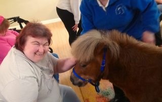 Therapy Ponies Scotland at ASC.